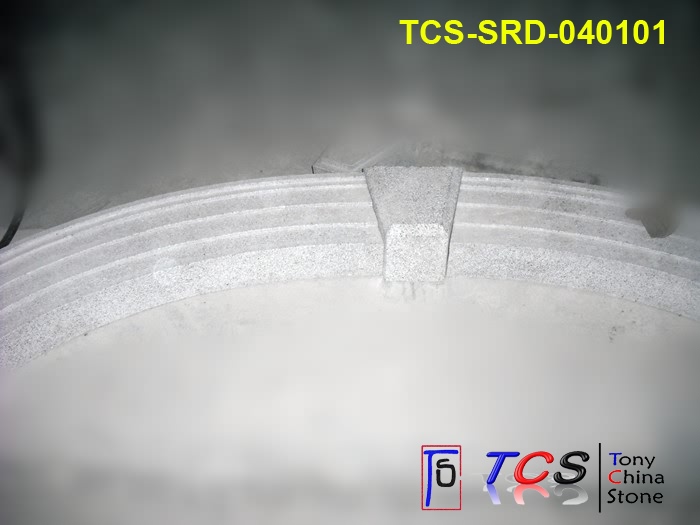 TCS-SRD-04