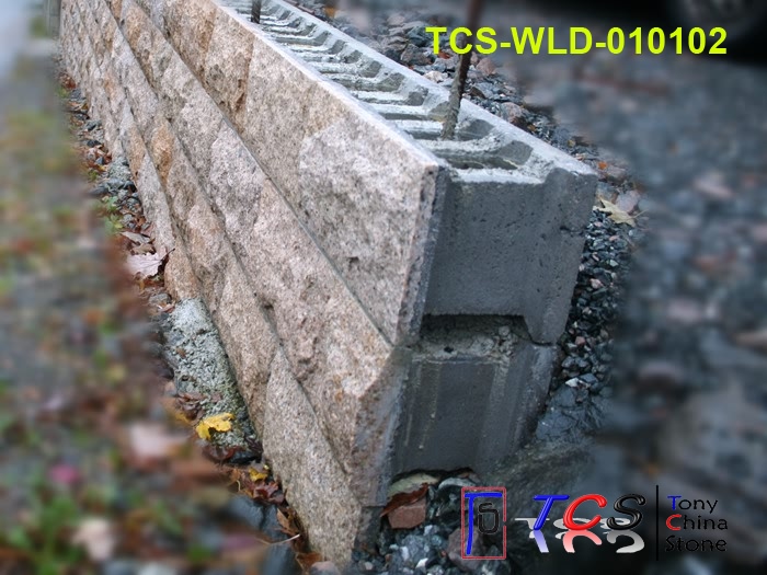 TCS-WLD-01