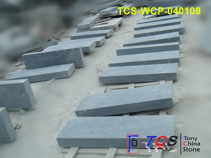 TCS-WCP-04