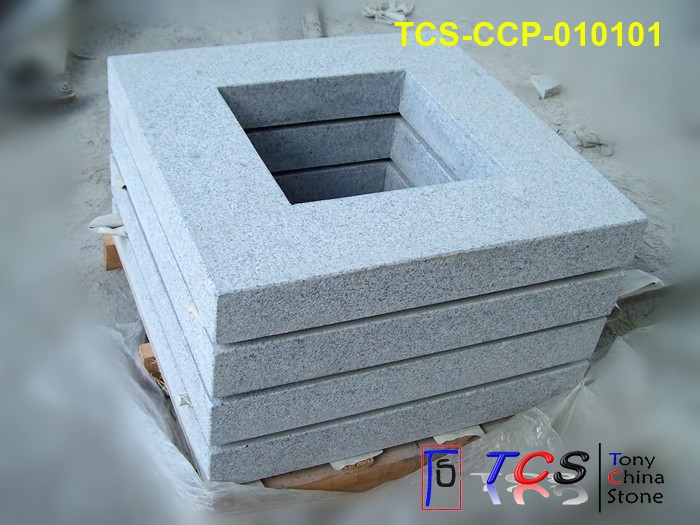 TCS-CCP-01