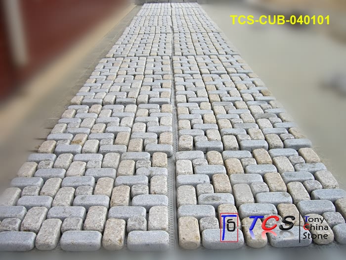 TCS-CUB-04