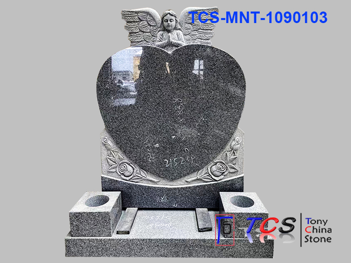 TCS-MNT-109