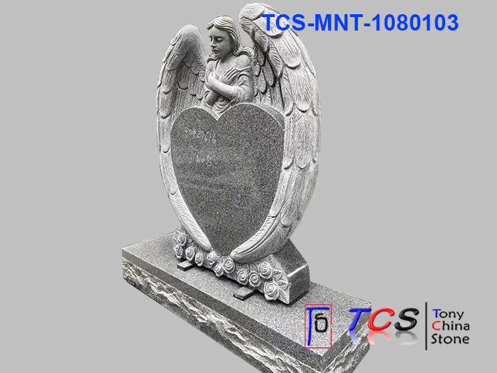 TCS-MNT-108
