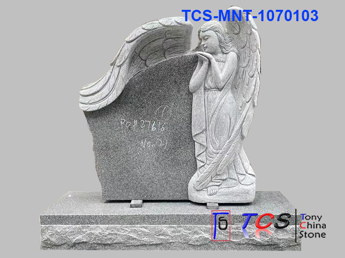 TCS-MNT-107