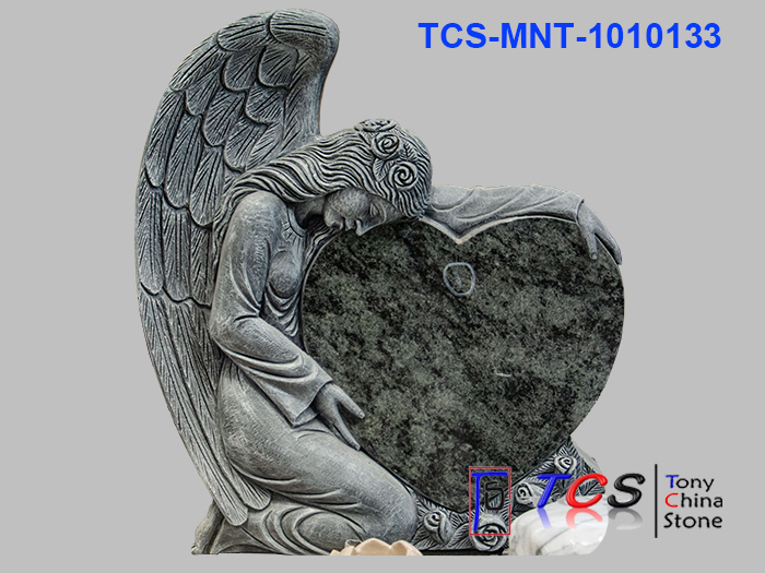TCS-MNT-101