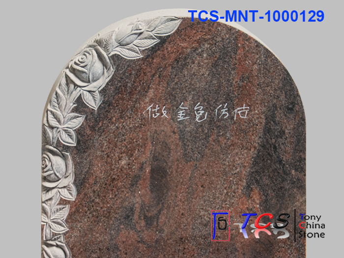 TCS-MNT-100