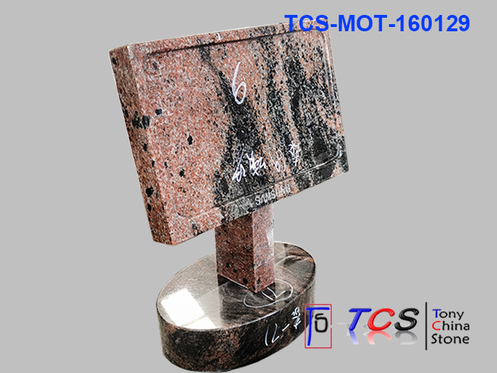TCS-MOT-16 -Screen