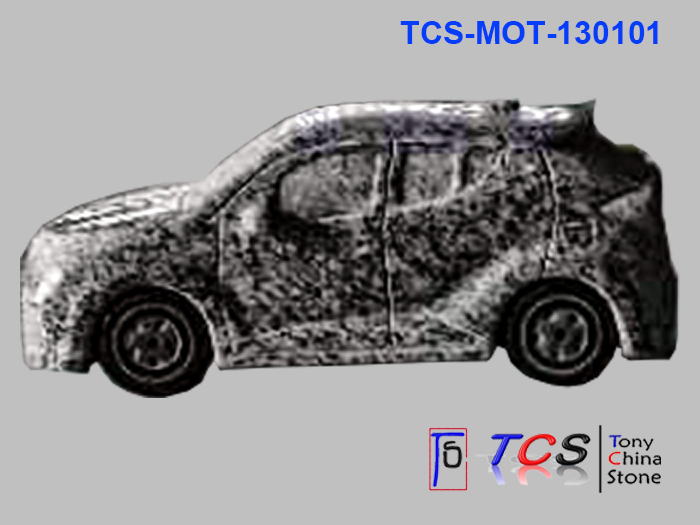 TCS-MOT-13 -Car