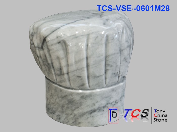 TCS-VSE-06