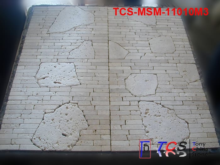 TCS-MSM-11