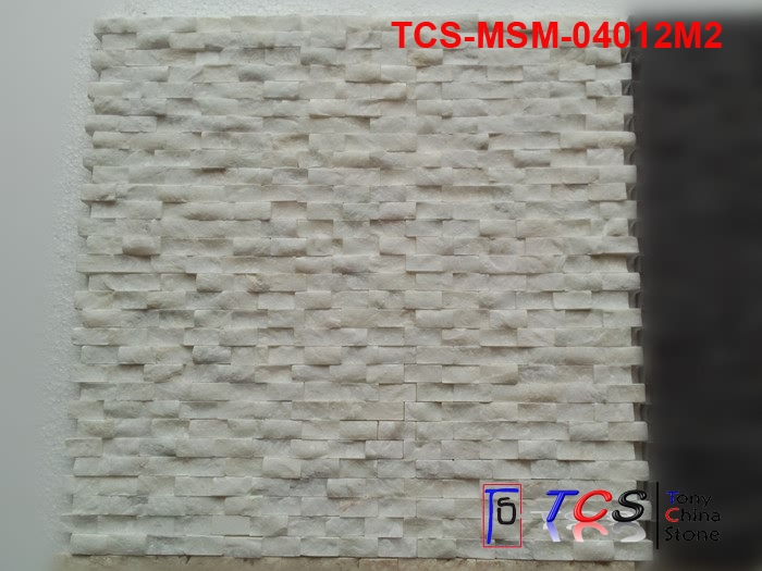 TCS-MSM-04