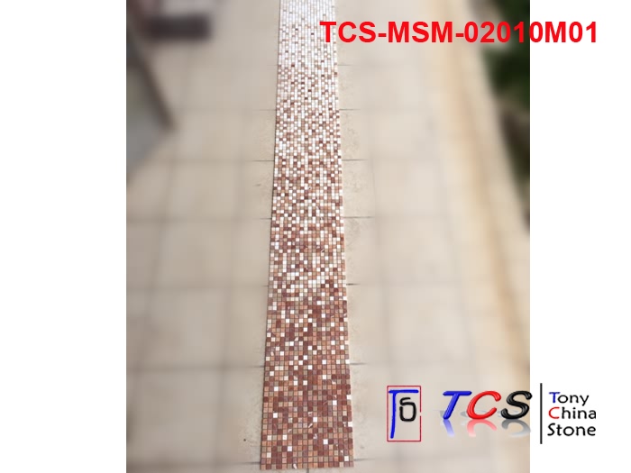 TCS-MSM-02