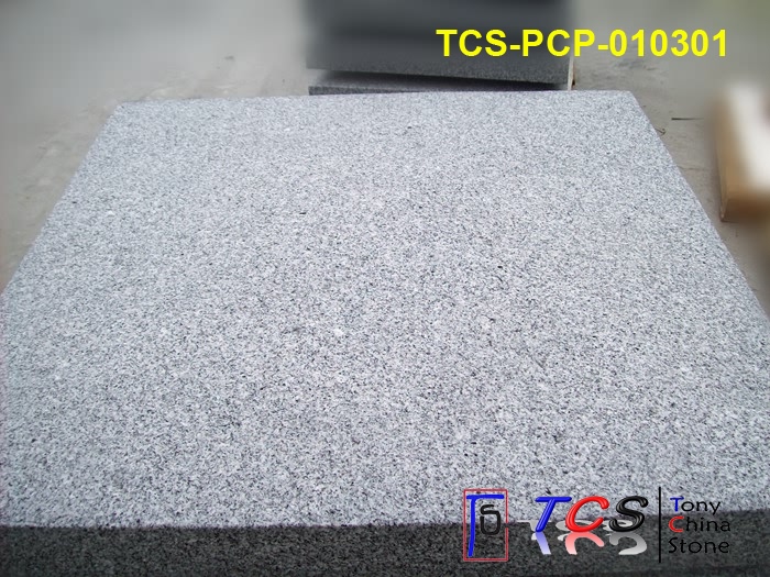 TCS-PCP-01