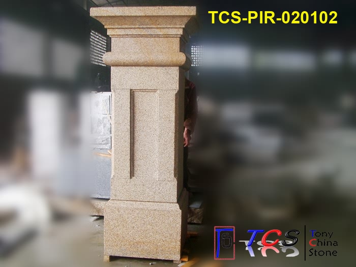 TCS-PIR-02