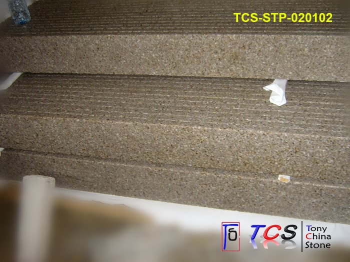 TCS-STP-02
