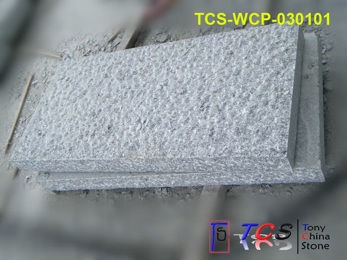 TCS-WCP-03