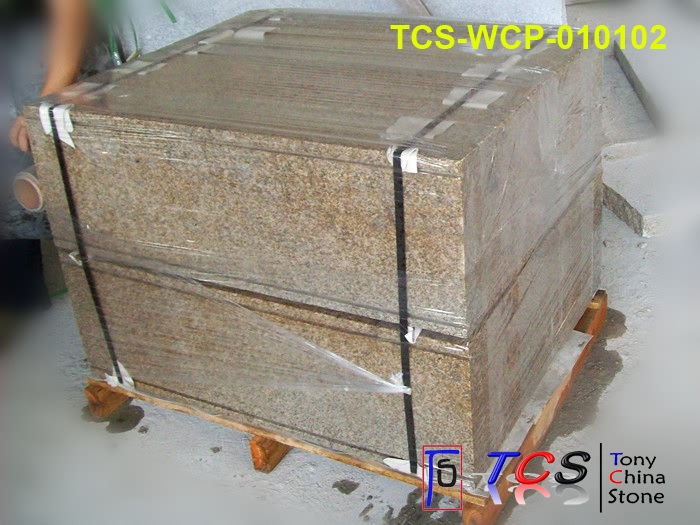 TCS-WCP-01